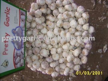 Fresh Jinxiang Garlic