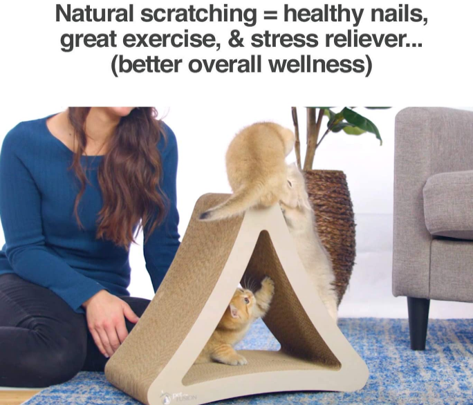 Kitty Cat Scratcher