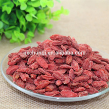 CHINA NEW CROP DRIED FRUIT
