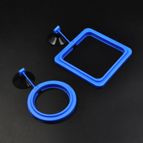 floating feeding ring for aquarium fish