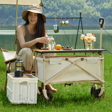 Cheap Food Delivery Picnic Camping Trolley Bag for Kids