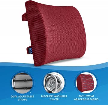 Comfity Memory Foam Back Support