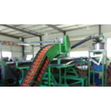 Nuthew Nut Pelling Shelling Cleaning Plant Plant