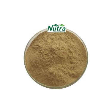 Organic Ginkgo Biloba Leaf Extract powder 24% Flavonoids