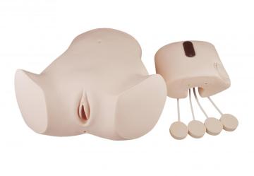 Abdominal Cavity Puncture Model