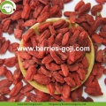 Factory Supply Nutrition Dried Bio Wolfberry