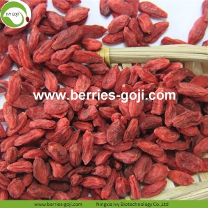 โรงงานผลิตผลไม้เพื่อสุขภาพความแข็งแรงทางเพศ Goji