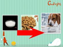 Pet nutritional ingredient XOS 35% xylooligosaccharide NON-GMO