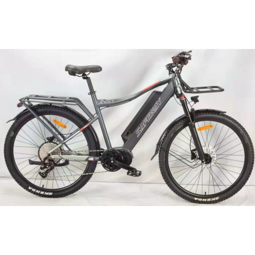 Ebike kargo