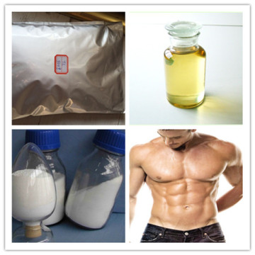 Injectable Liquid Steroid Equipose Boldenone Undecylenate