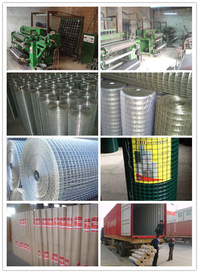 Welded Wire Mesh Fence (constuction material)