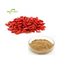 Goji Extract Wolfberry Extract