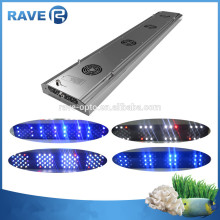 48" Marine Aquarium Used Led Aquarium Lights Intelligent