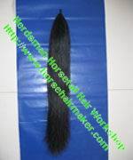 Attaching False Show Horse Tail Extension