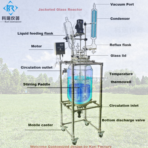 Reactor de vidrio de doble capa farmacéutico 10-200L