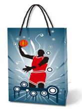 Paper Shopping Bag /Advertisement Bag/Gift Bag/Promotion Bag