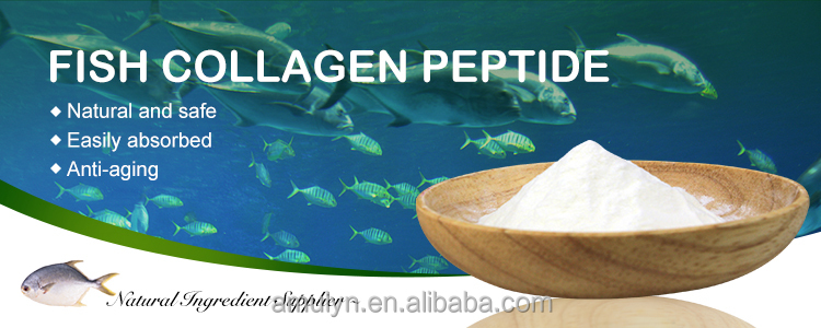 Pó de Peptídeo de Colágeno de Peixe Fish Collagen Peptide Powder