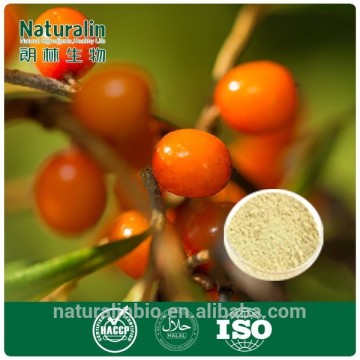 Natural Fructus Hippophae Extract Hippophae rhamnoides L