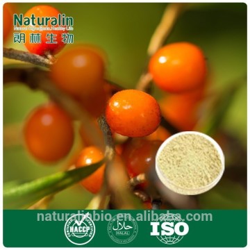 Fructus Hippophae Extract