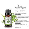 Mejor precio Pure Organic Thuja Essential Oil para el cuidado de la piel