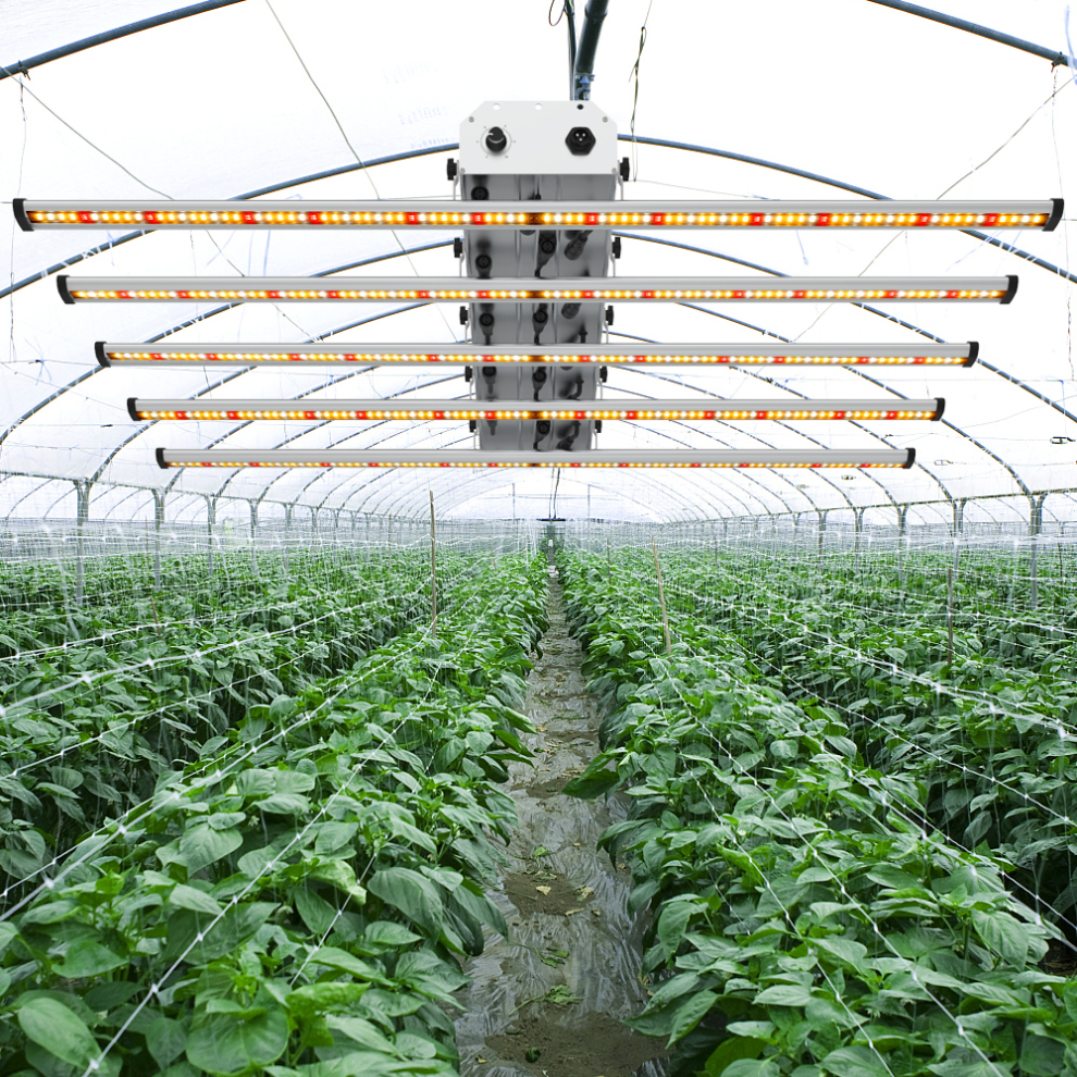 Led Grow Light Greenhouse Jpg