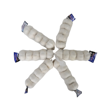 Super Quality Chinese Pure White Garlic