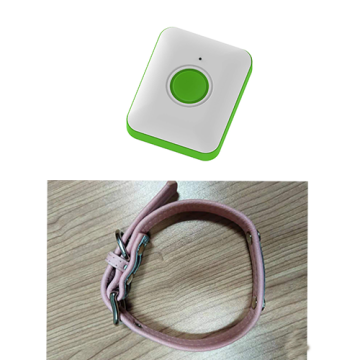 Smart GPS Tracker for Pet