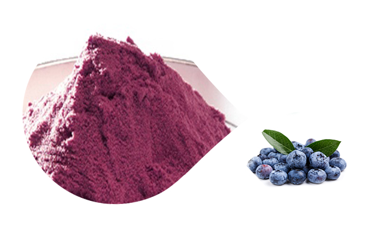 Click Cultivated Fruit Juice Blueberry Juice Powder Blueberry Powder