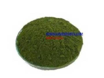 Moringa Oleifera Fresh Leaf Powder
