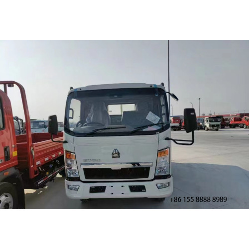 Howo New 4x2 RHD Cargo Carry Lorry Van Truck