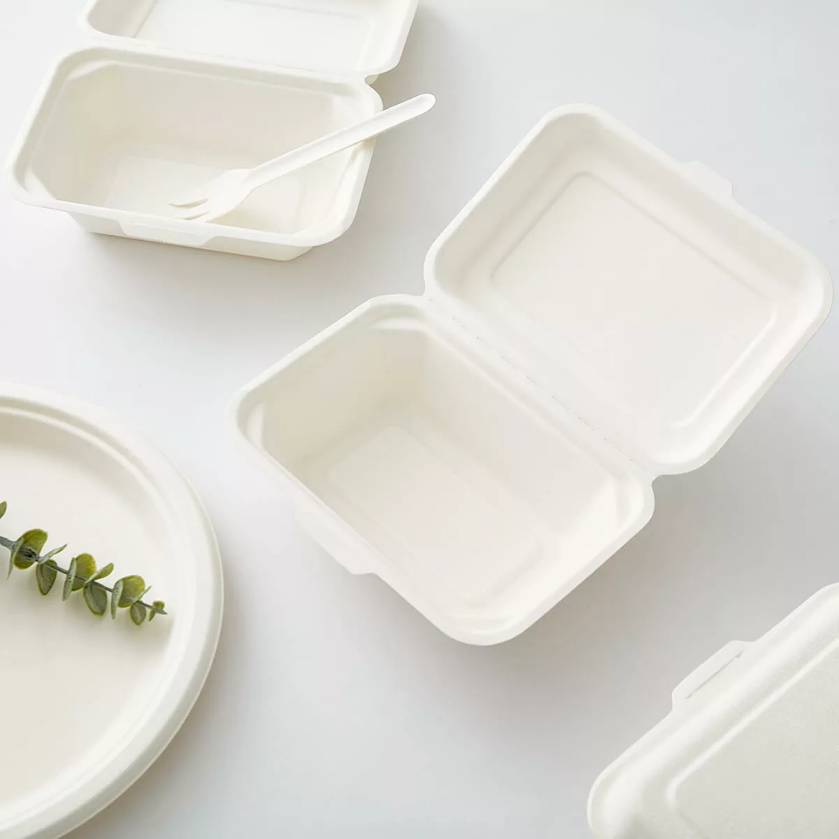 bagasse takeaway boxes