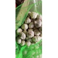 Cheap garlic about 8 usd per carton