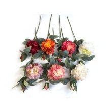 JH Factory Supply Artificial Peony Flowers - 2 Heads Per Bunch