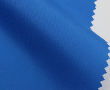 240T 0.3cm Ripstop Pongee Fabric