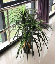 120cm nolina recurvata, plastic trunk, artificial plant, plastic plant, tropical plant, plant manufacturer
