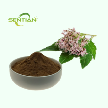 Perrin Extract Powder fortune eupatorium herb extract