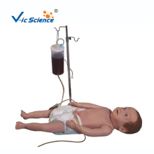 Infant Full Body Venipuncture Model