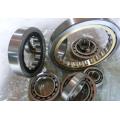 Double Row Cylindrical Roller Bearing (3182160/NN3060K)