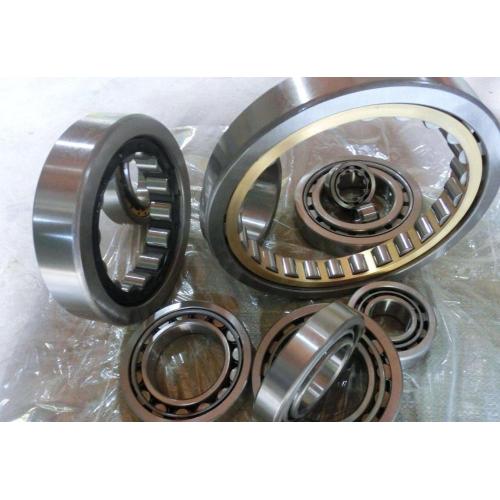 Double Row Cylindrical Roller Bearing (3182160/NN3060K)