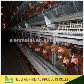 poultry farm chicken layer cage