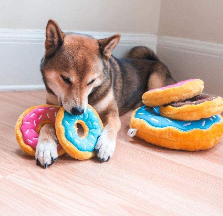 Large Dog Squeak Toy