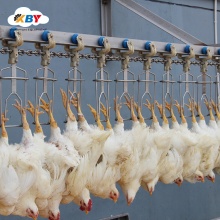 Chicken Slaughterhouse Equipment: Turkey Slaughtering Machine for Poultry Processing Plant