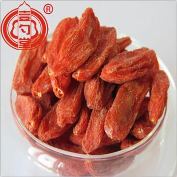 Medicinal Healthy Red Dried Goji Berry Fruits