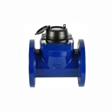 Customized Iron Body Irrigation Dry Dial Model Woltman Bulk Water Meter from Chinese Manufacturers