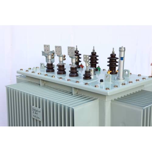 S13 Oil Type Transformers