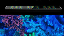Coral Reef Full Spectrum Lighting LED Aquarium Light