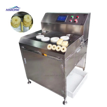 Fruit and Vegetable Slicing Machine Suppliers: Mango, Pineapple, Olive, Coconut, Banana, Plantain