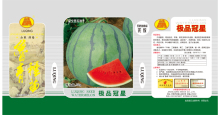 F1 hybrid high quality watermelon seeds for sales