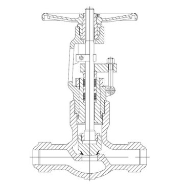 Pressure Seal Globe Valve