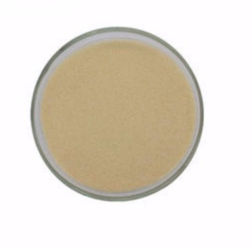 Natural Wheat Protein Extract Hydrolyzed Wheat Peptide
